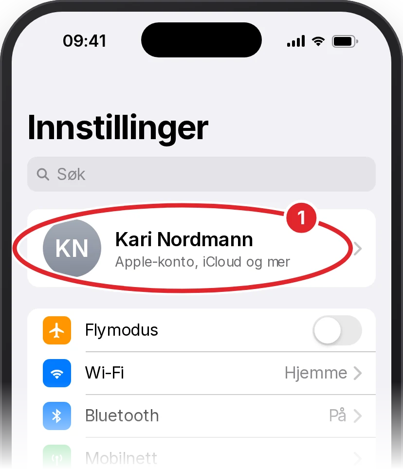 Innstillinger på iPhone. Navnet øverst, med teksten Apple-konto, iCloud og mer, er ringet inn med rødt.