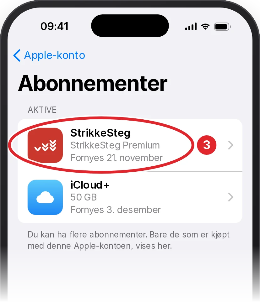 Listen Abonnementer med aktive abonnementer. StrikkeSteg, StrikkeSteg Premium, er ringet inn med rødt.